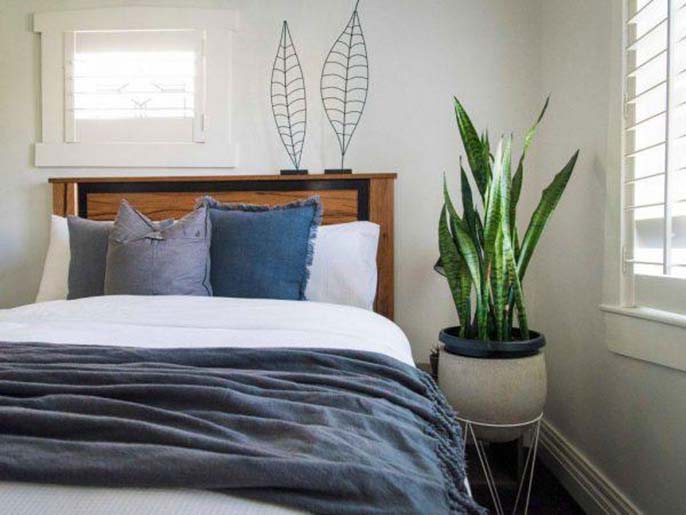 Top 5 loại cây phong thủy phòng ngủ tốt nhất bạn nên chọn
